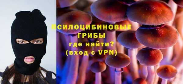 шишки Инта