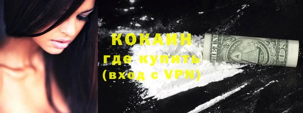 шишки Инта