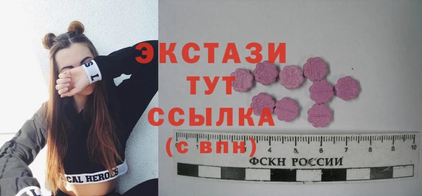 шишки Инта