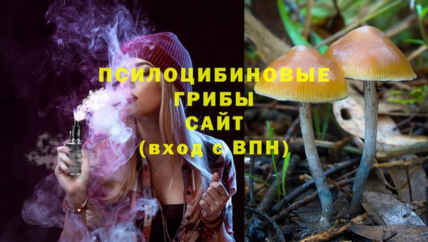 стаф Инсар