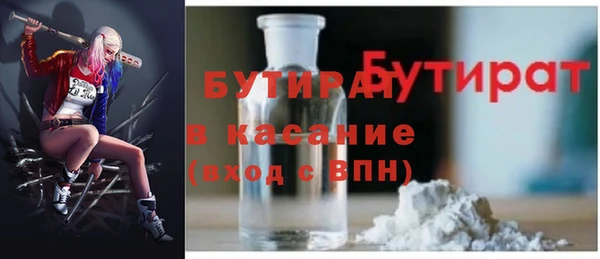 шишки Инта