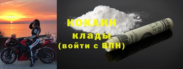 шишки Инта