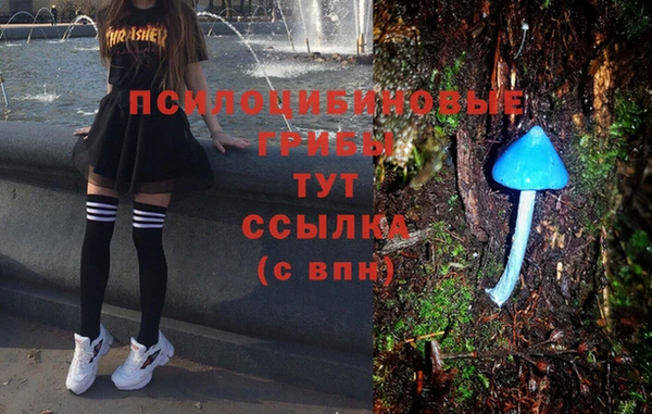 шишки Инта