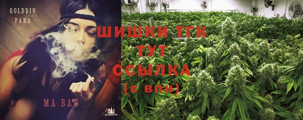 стаф Инсар