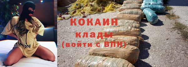 шишки Инта