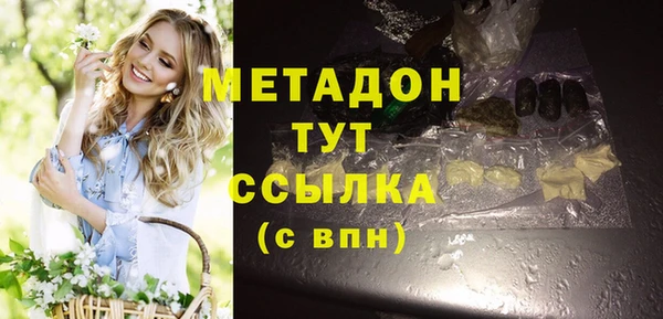 шишки Инта