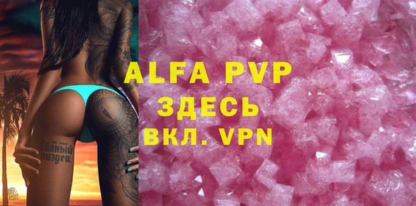 шишки Инта