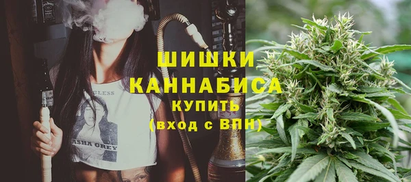 стаф Инсар