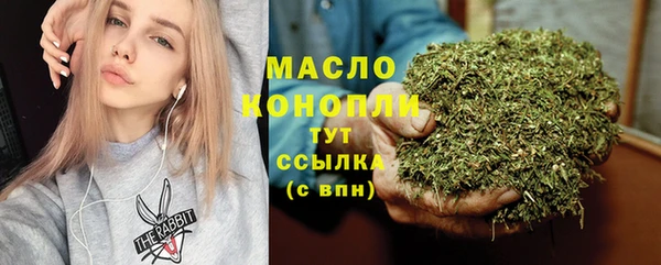 шишки Инта
