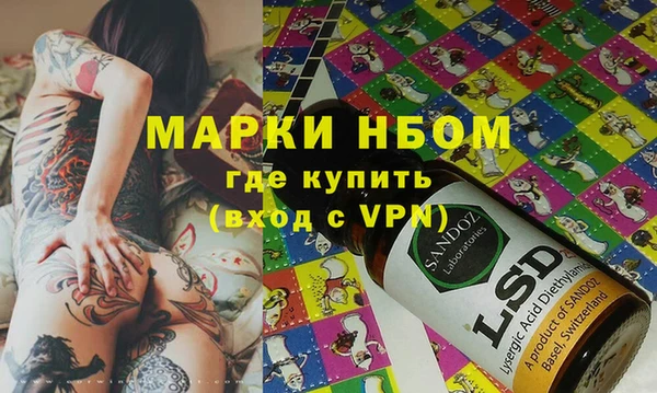 шишки Инта