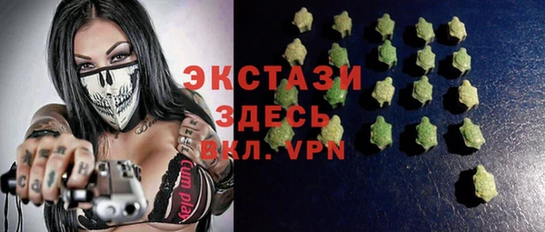 шишки Инта