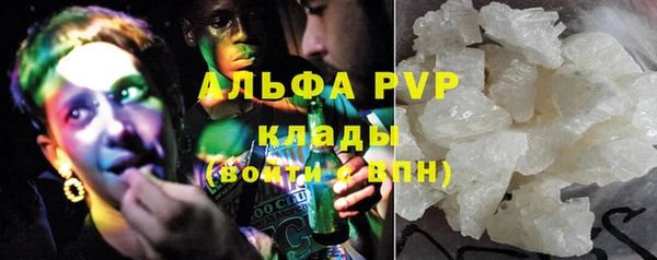 стаф Инсар