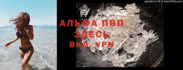 шишки Инта