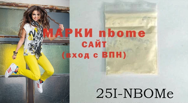шишки Инта