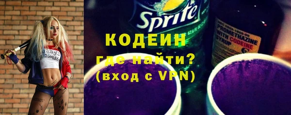 шишки Инта